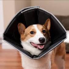 Comfy Cone E-Collar — Soft Recovery Cone for Dogs & Cats (7 Sizes)