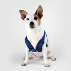 Sputnik Comfort Dog Harness — Breathable Mesh & Genuine Leather (Size S-L)