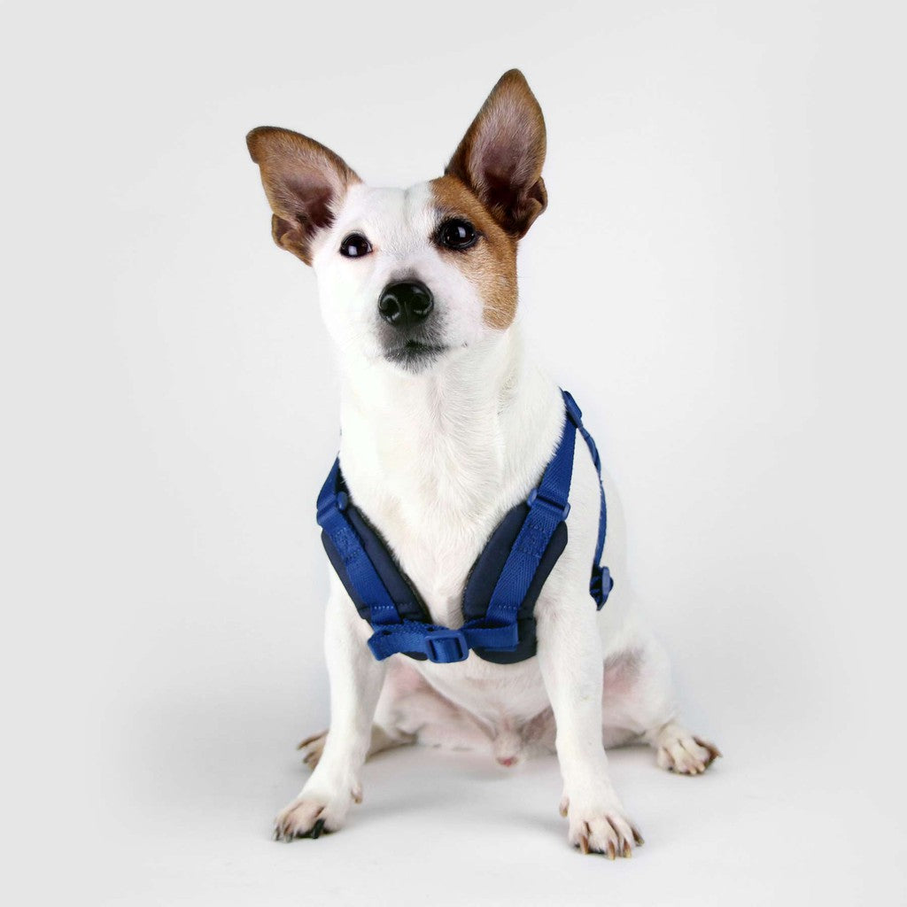 Sputnik Comfort Dog Harness — Breathable Mesh & Genuine Leather (Size S-L)