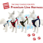 GiGwi Premium Line Harness — 4-Point Adjustable for Dogs (S, M, XL)