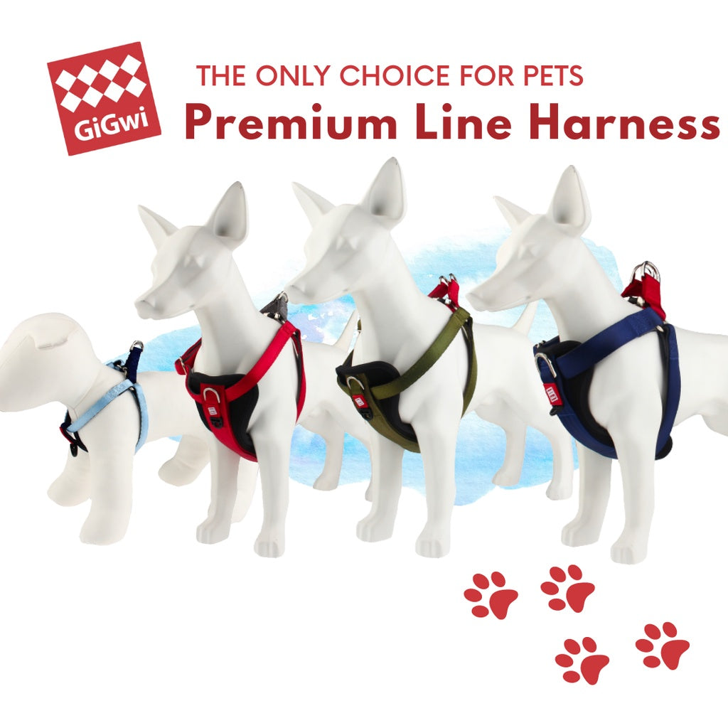 GiGwi Premium Line Harness — 4-Point Adjustable for Dogs (S, M, XL)