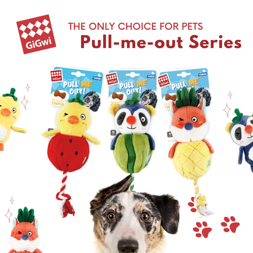 GiGwi Pull-Me-Out Squeaky Dog Toy — Interactive Plush with Treat Pocket