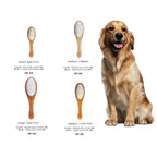 Bass Brushes Style & Detangle Pet Brush — Premium Alloy Pins (Size L, M, S)