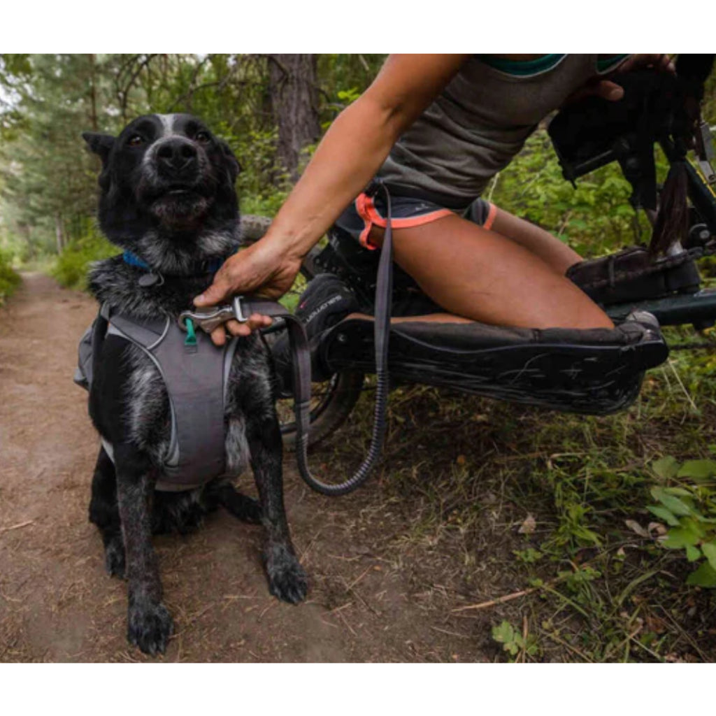 Ruffwear Switchbak Dog Pack Harness — Lightweight No-Pull with Pockets (XS-L/XL)