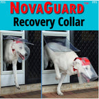 Provizor NovaGuard Recovery Cone Collar for Dogs & Cats — Alternative to E-Collar (7 Sizes)