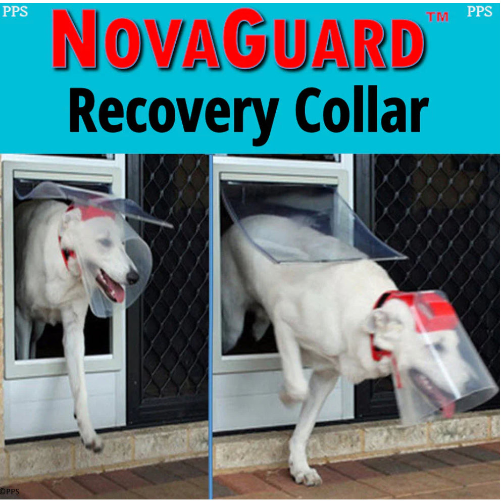 Provizor NovaGuard Recovery Cone Collar for Dogs & Cats — Alternative to E-Collar (7 Sizes)