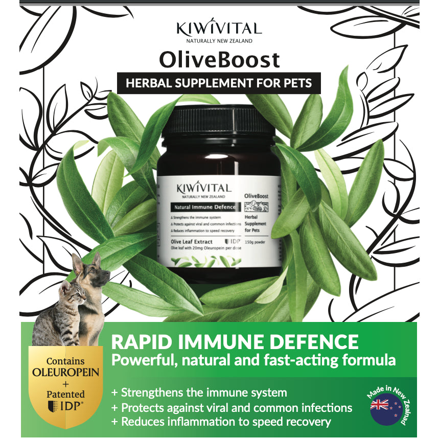 KiwiVital OliveBoost Herbal Therapy — Immune & Heart Support for Dogs & Cats (80g/150g)