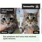 KiwiVital OliveBoost Herbal Therapy — Immune & Heart Support for Dogs & Cats (80g/150g)