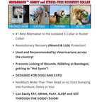 Provizor NovaGuard Recovery Cone Collar for Dogs & Cats — Alternative to E-Collar (7 Sizes)