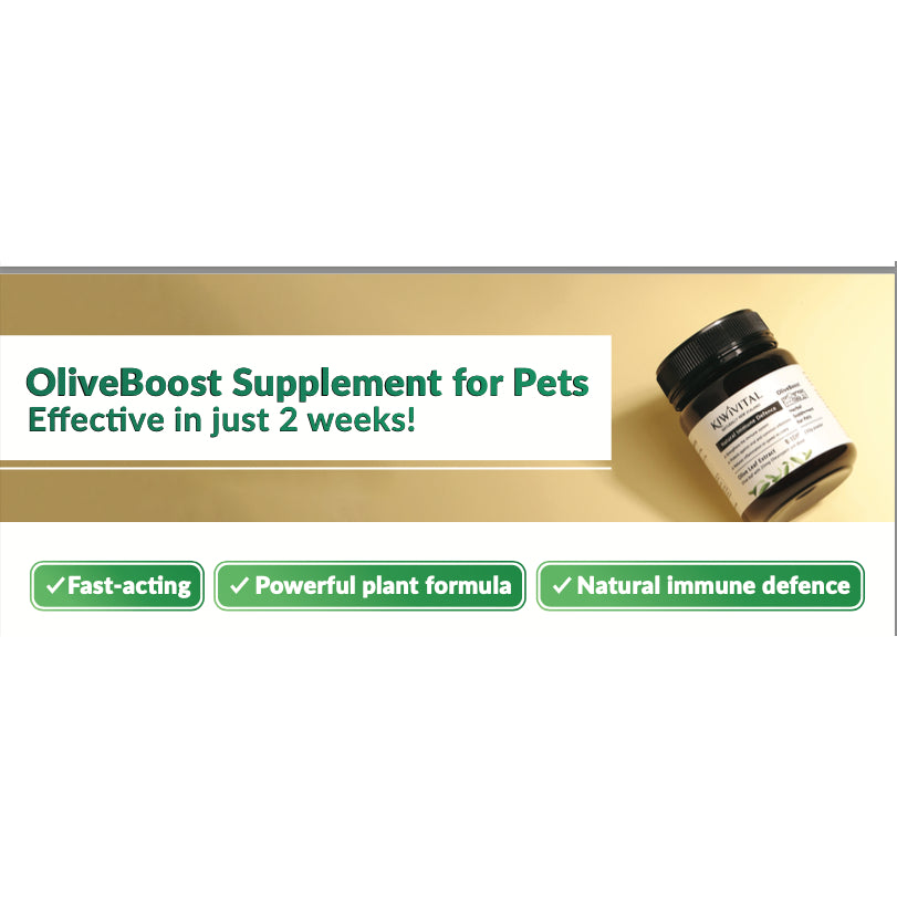 KiwiVital OliveBoost Herbal Therapy — Immune & Heart Support for Dogs & Cats (80g/150g)