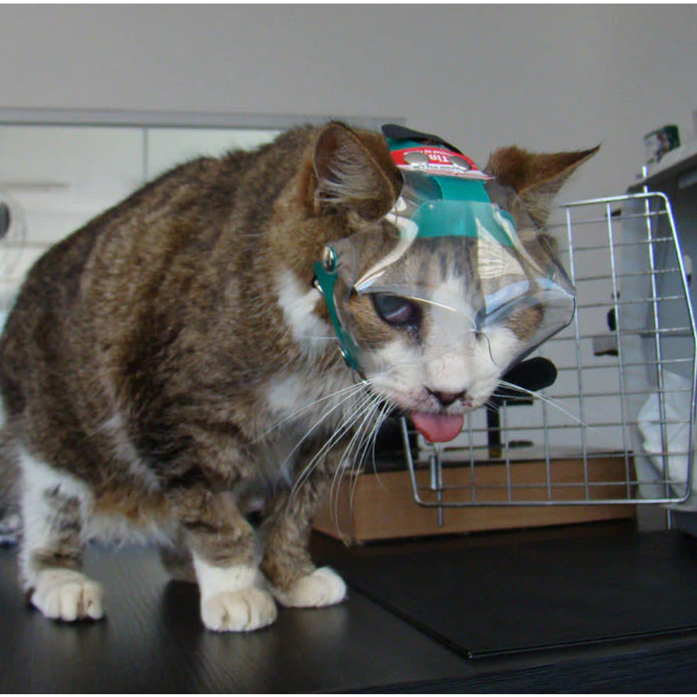 OptiVizor Eye Protection — UV Shield for Dogs & Cats (Post-Surgery, Injury, Blindness)