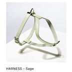 ST ARGO Vegan Leather Harness — Adjustable No-Pull for Dogs & Cats