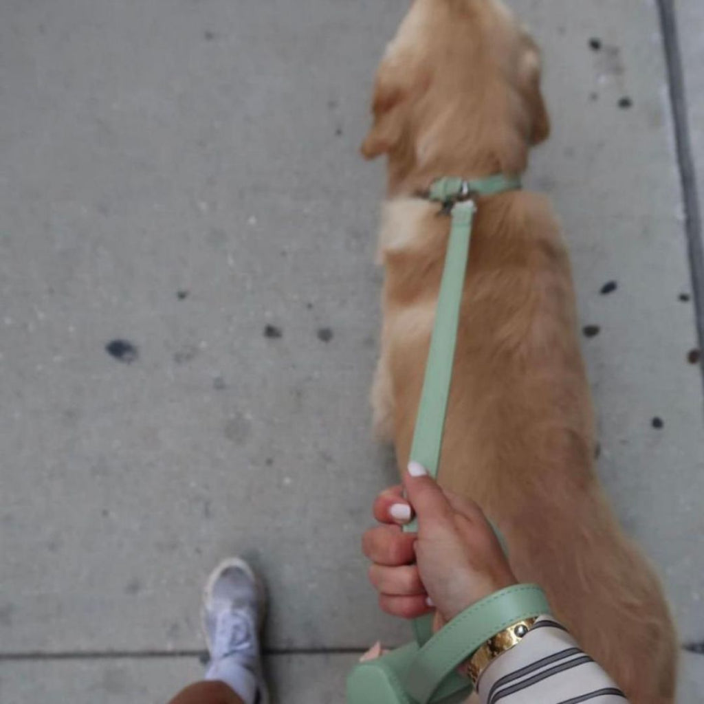 ST ARGO Matching Vegan Leather Lead/Leash — Buttery-Soft PU Leather (130cm)