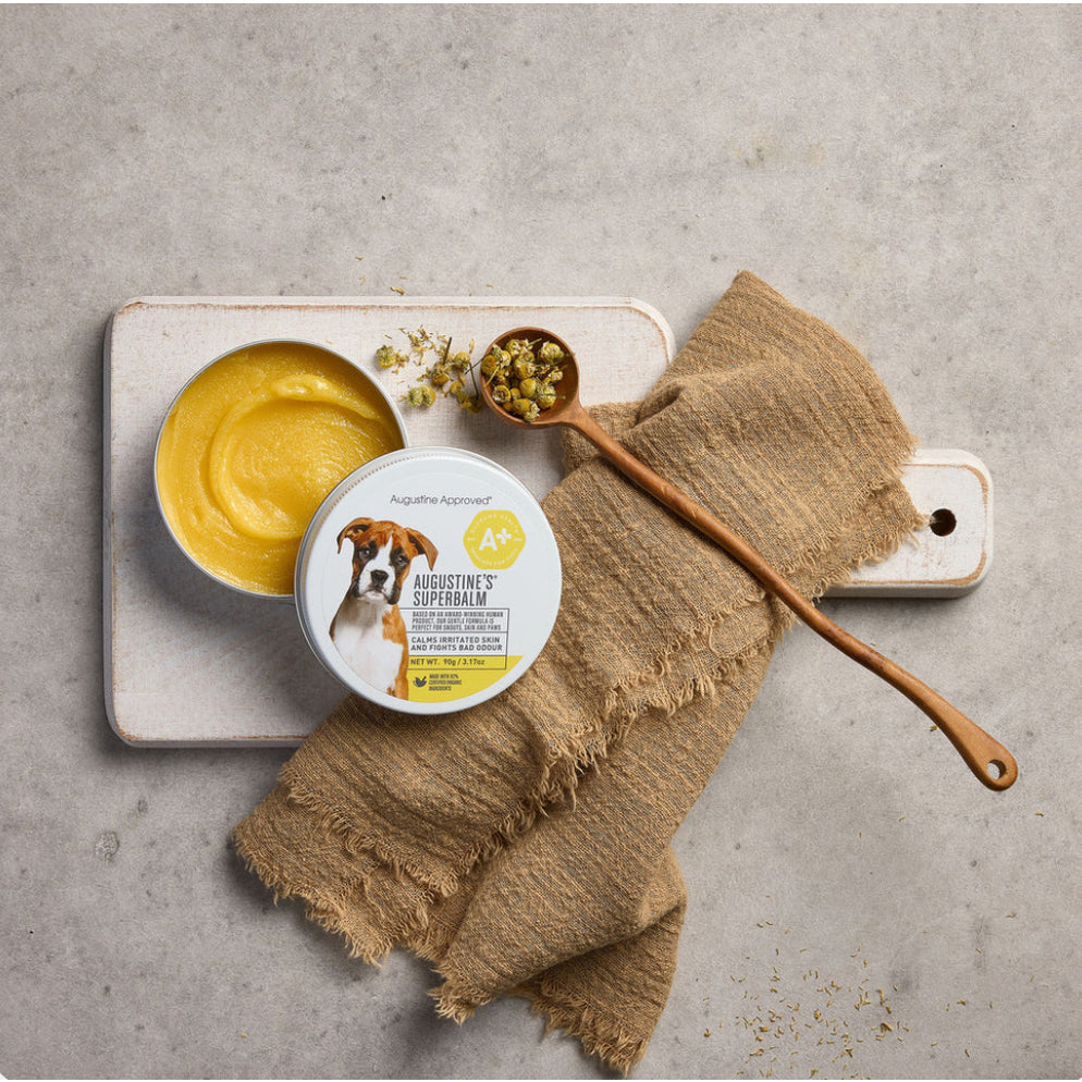 Augustine Approved SuperBalm — Multi-Purpose Organic Balm for Pets (25g, 90g)