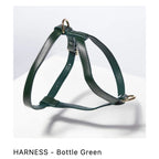 ST ARGO Vegan Leather Harness — Adjustable No-Pull for Dogs & Cats