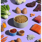 GoodWoof Premium Cooked Frozen Food — 5-Flavour Variety Bundle (5 x 600g Trays)