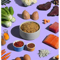 GoodWoof Premium Cooked Dog Food — 80% Human-Grade Meat & Produce (600g Tray)