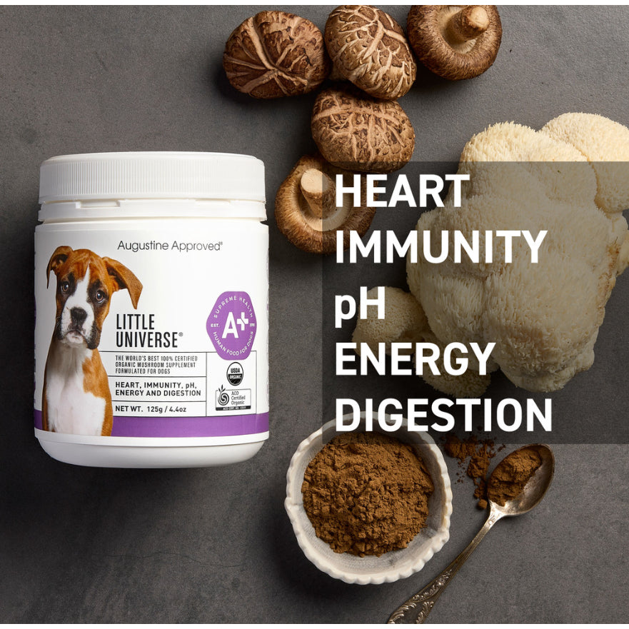 Augustine Approved Little Universe — Organic Mushroom Supplement for Dogs (70g / 125g / 250g)