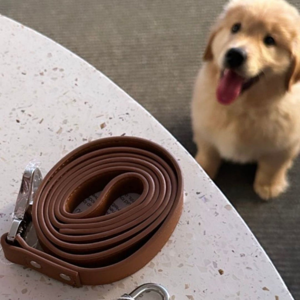ST ARGO Matching Vegan Leather Lead/Leash — Buttery-Soft PU Leather (130cm)
