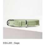 ST ARGO Vegan Leather Collar for Dogs & Cats — Adjustable 5-Hole Design (XS-XL)