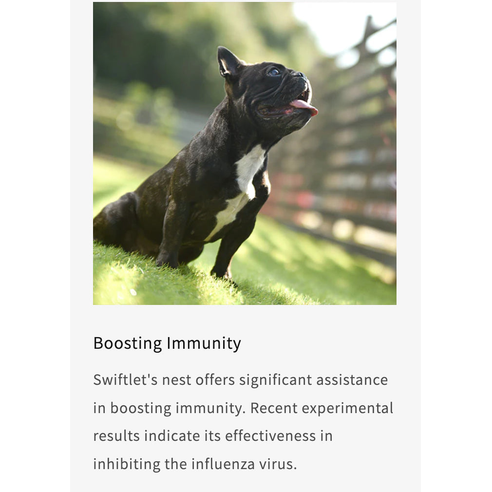 MIRANEST Swiftlet Nest Skincare Set — Shampoo, Lotion & Paw Cream for Dogs & Cats