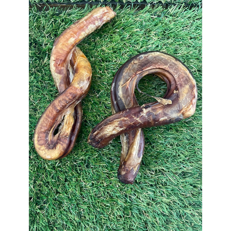 Scott & Dan's Bully Stick & Beef Achilles Tendon — All-Natural Dog Treats (28-30cm)