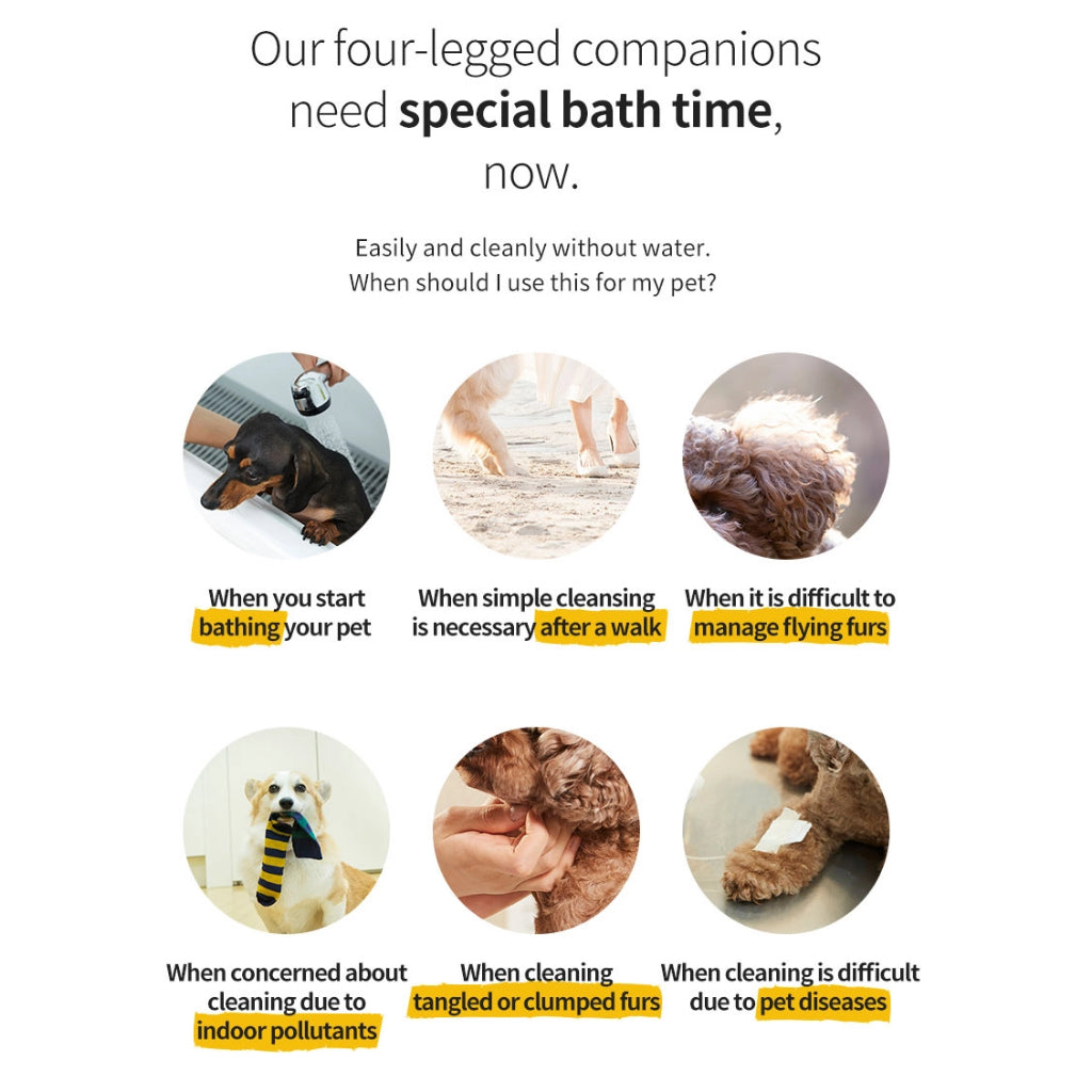 Pawlink in Clean Waterless Cleansers — Spray, Face, Ear & Toothpaste for Cats & Dogs