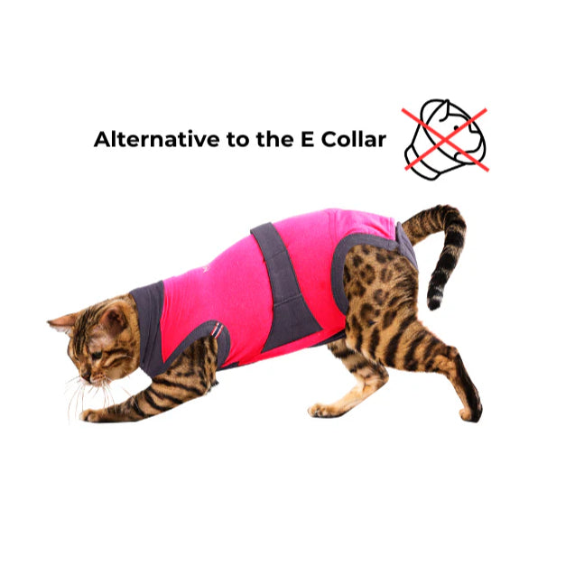 Maxx Pet Recovery Suit — Post-Surgery E-Collar Alternative for Dogs & Cats