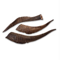 Scott & Dan's Goat Horn with Marrow — Natural Dog Treat