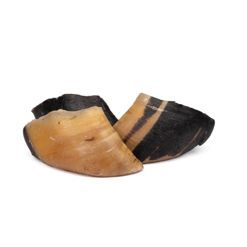 Scott & Dan's Cow Hoof — All-Natural Beef Chew for Dogs (1pc / 3pcs+1)