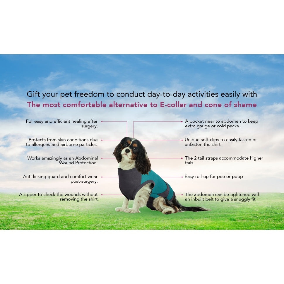 Maxx Pet Recovery Suit — Post-Surgery E-Collar Alternative for Dogs & Cats