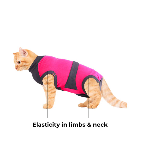 Maxx Pet Recovery Suit — Post-Surgery E-Collar Alternative for Dogs & Cats