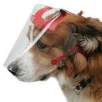 Optivizor Eye & Face Protection Cone — Post-Surgery Recovery for Dogs (Sizes Toy to X-Large)