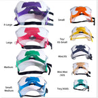 Optivizor Eye & Face Protection Cone — Post-Surgery Recovery for Dogs (Sizes Toy to X-Large)