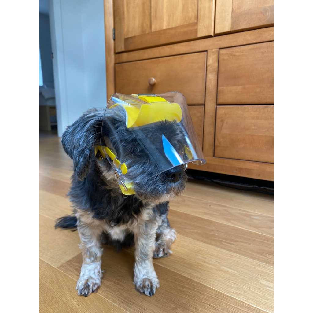 Optivizor Eye & Face Protection Cone — Post-Surgery Recovery for Dogs (Sizes Toy to X-Large)