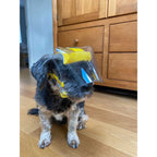 Optivizor Eye & Face Protection Cone — Post-Surgery Recovery for Dogs (Sizes Toy to X-Large)
