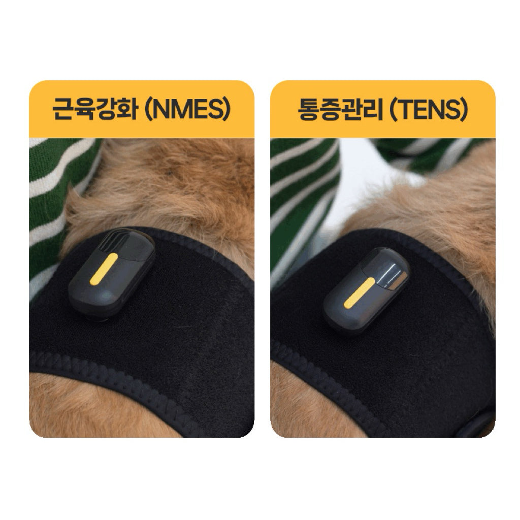 Rebuild Dog EMS — Wearable Muscle Stimulation & Pain Relief Device for Dogs (Waist Band)