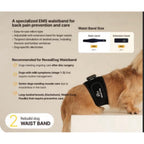 Rebuild Dog EMS — Wearable Muscle Stimulation & Pain Relief Device for Dogs (Waist Band)