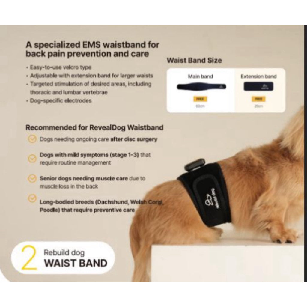 Rebuild Dog EMS — Wearable Muscle Stimulation & Pain Relief Device for Dogs (Waist Band)