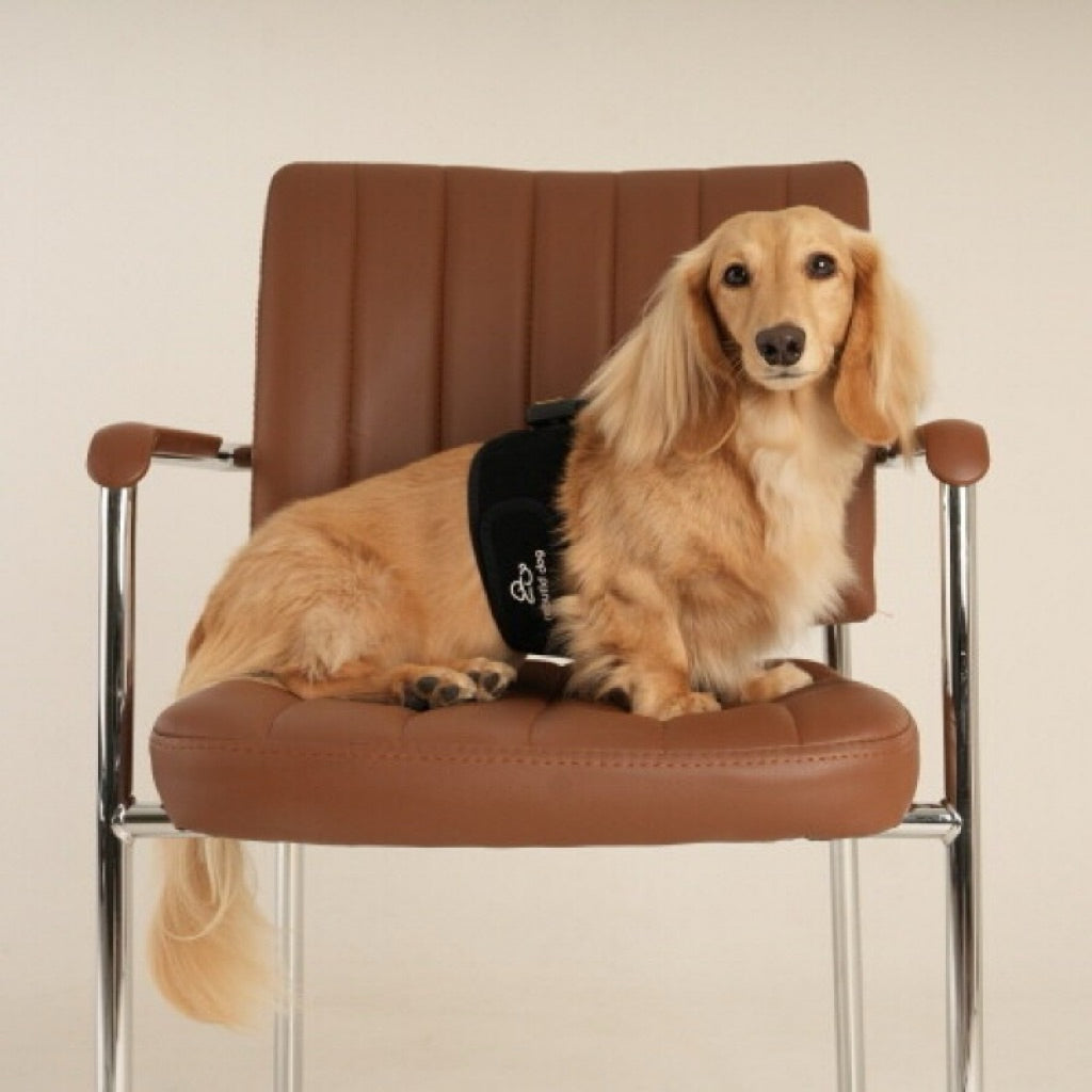 Rebuild Dog EMS — Wearable Muscle Stimulation & Pain Relief Device for Dogs (Waist Band)