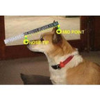 Provizor NovaGuard Recovery Cone Collar for Dogs & Cats — Alternative to E-Collar (7 Sizes)