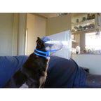 Provizor NovaGuard Recovery Cone Collar for Dogs & Cats — Alternative to E-Collar (7 Sizes)