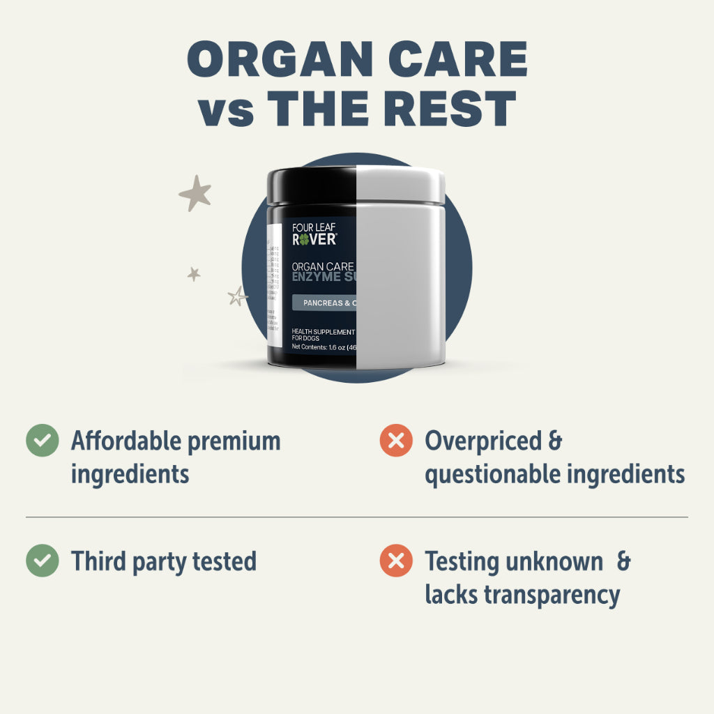 Four Leaf Rover Digest — Digestive Enzyme & Organ Care Supplement (34.5g)