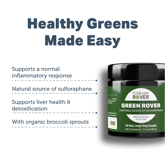 Four Leaf Rover Green Rover — Organic Sulforaphane Supplement (39g)