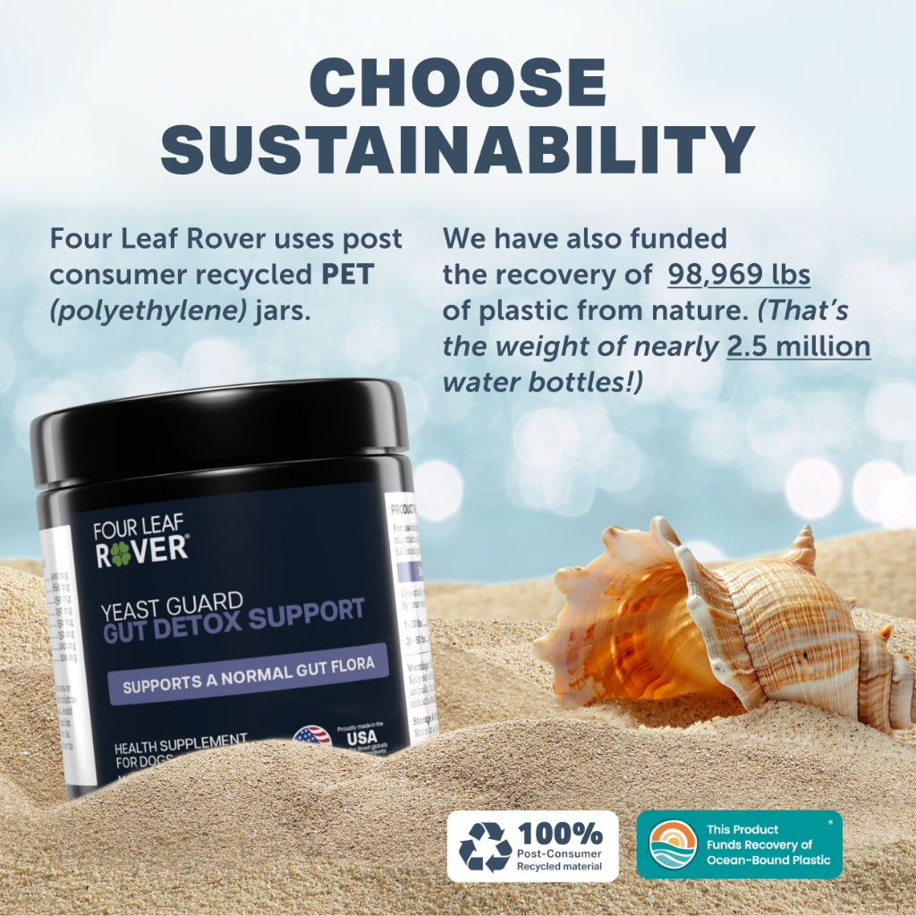 Four Leaf Rover Yeast Guard — Organic Yeast Detox Powder for Dogs (39.3g)