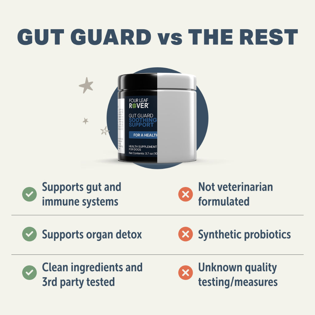 Four Leaf Rover Gut Guard — Probiotic for Dogs With Leaky Gut (3.5oz)