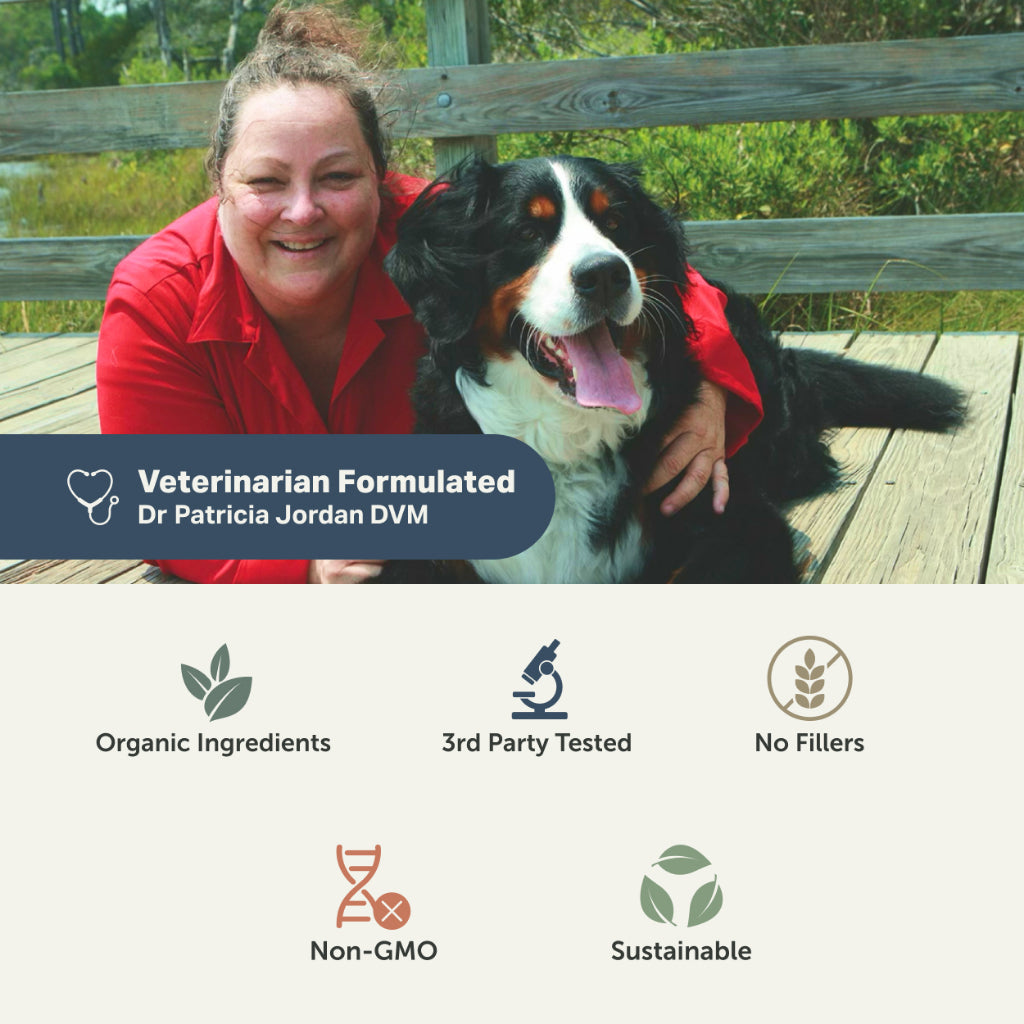 Four Leaf Rover Yeast Guard — Organic Yeast Detox Powder for Dogs (39.3g)
