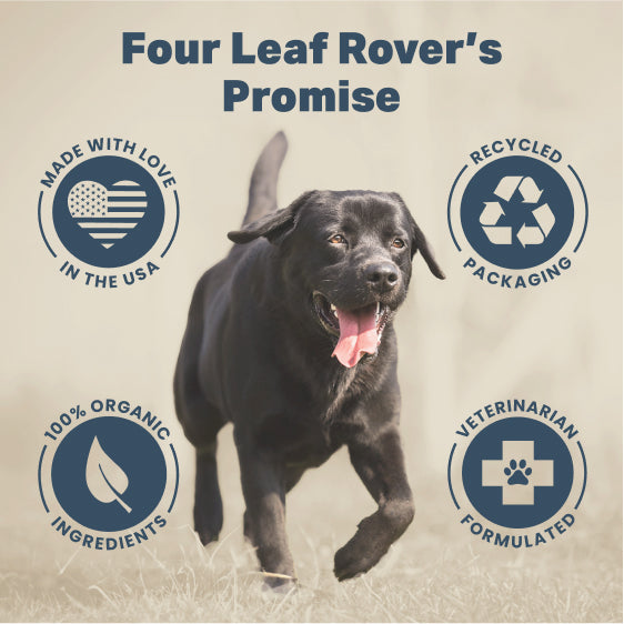 Four Leaf Rover Green Rover — Organic Sulforaphane Supplement (39g)