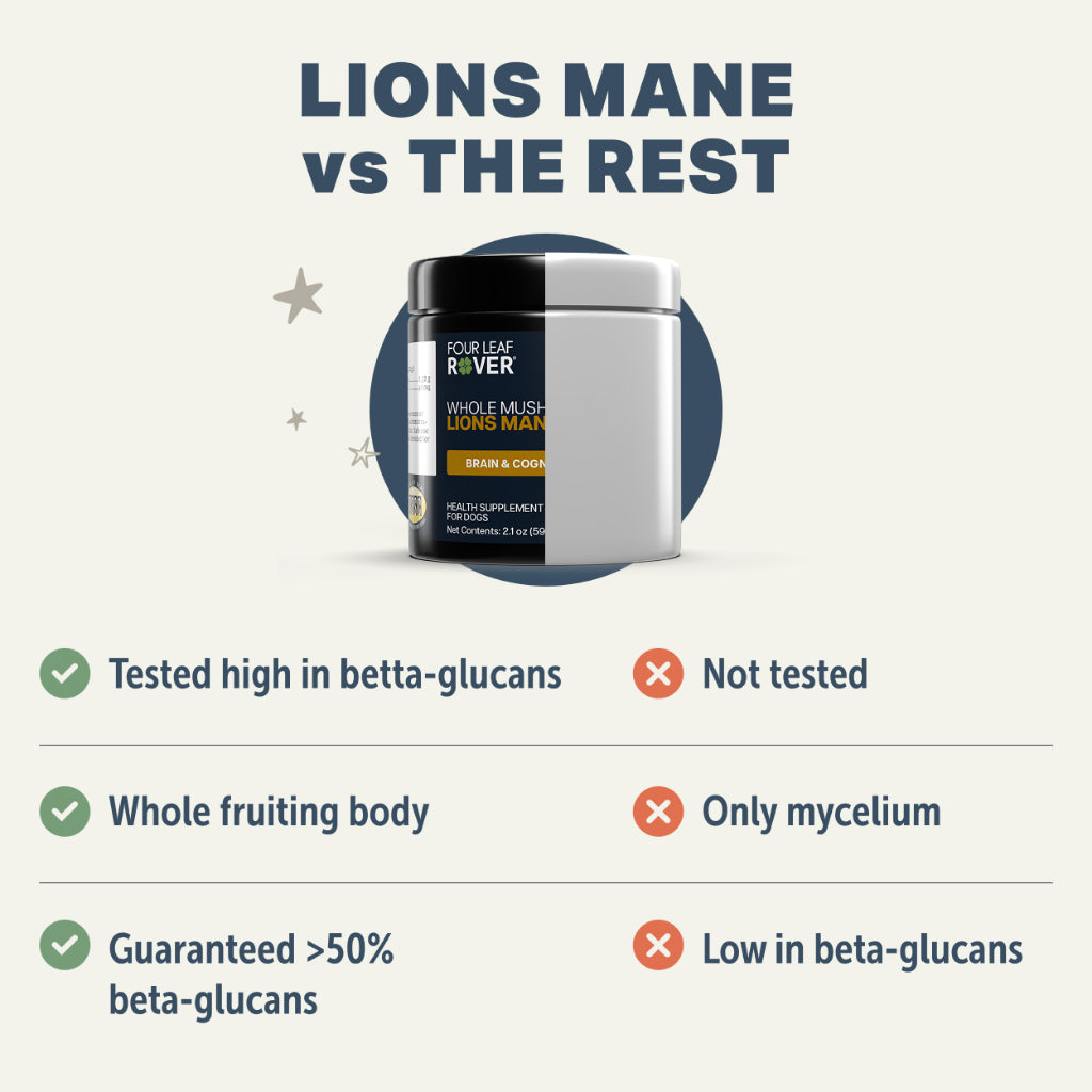 Four Leaf Rover Lion's Mane — Organic Mushroom Extract for Dogs (28.5g)