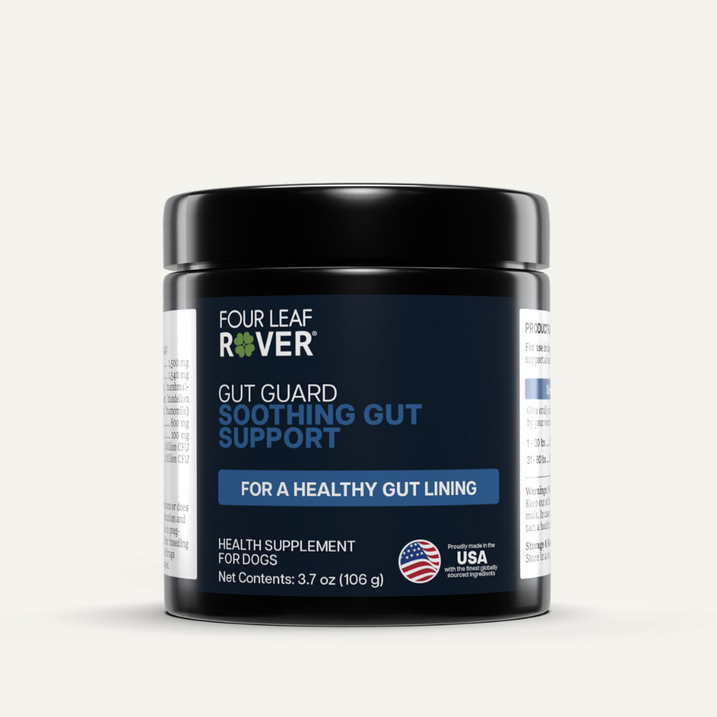 Four Leaf Rover Gut Guard — Probiotic for Dogs With Leaky Gut (3.5oz)